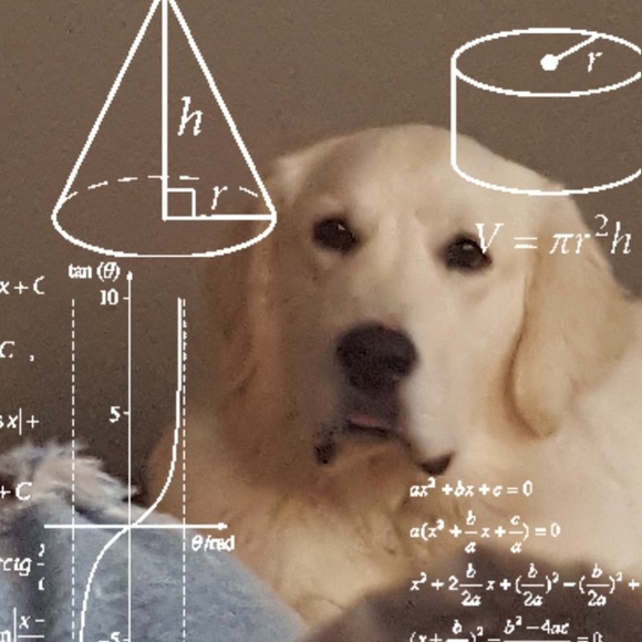 Meet your Posher, Summer - Picture 1 of 1